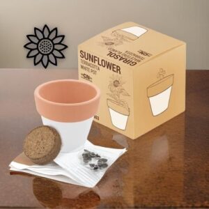 ♥ Maceta Terracota Girasol Boda ♥ Maceta Terracota Girasol Boda