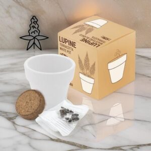 ♥ Maceta Terracota Lupine Boda ♥ Maceta Terracota Lupine Boda