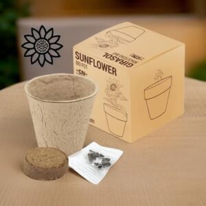 ♥ Maceta Girasol Eco Boda ♥ Maceta Girasol Eco Boda