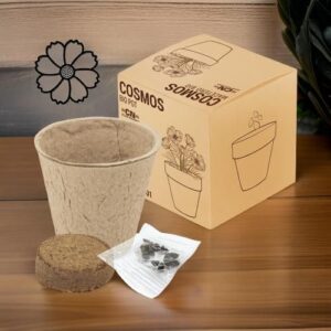♥ Maceta Cosmos Eco Boda ♥ Maceta Cosmos Eco Boda