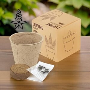 ♥ Maceta Lupine Eco Boda ♥ Maceta Lupine Eco Boda