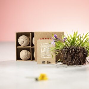♥ Capsula Semillas Flores Silvestres Boda ♥ Capsula Semillas Flores Silvestres Boda